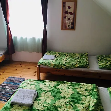 Tozike Vendeghaz Guest house Iklodbordoce