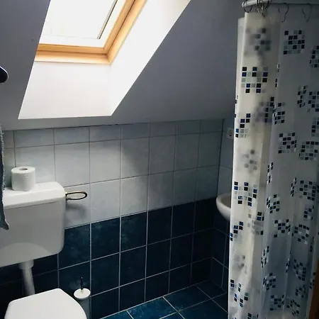 Guest house Tozike Vendeghaz Iklodbordoce