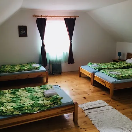 Tozike Vendeghaz Guest house Iklodbordoce